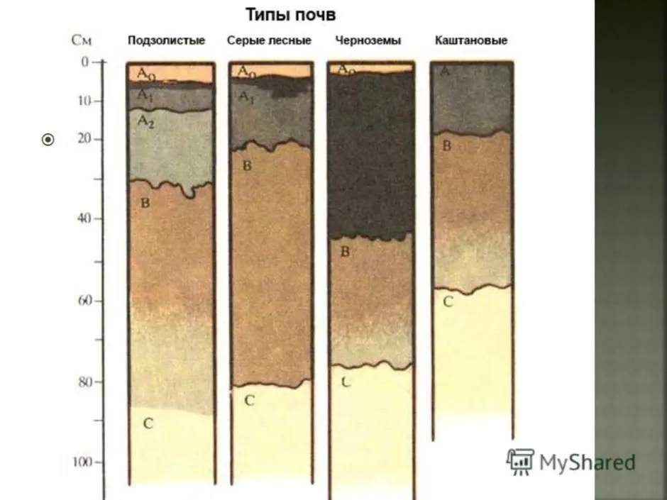 Типы почв схема