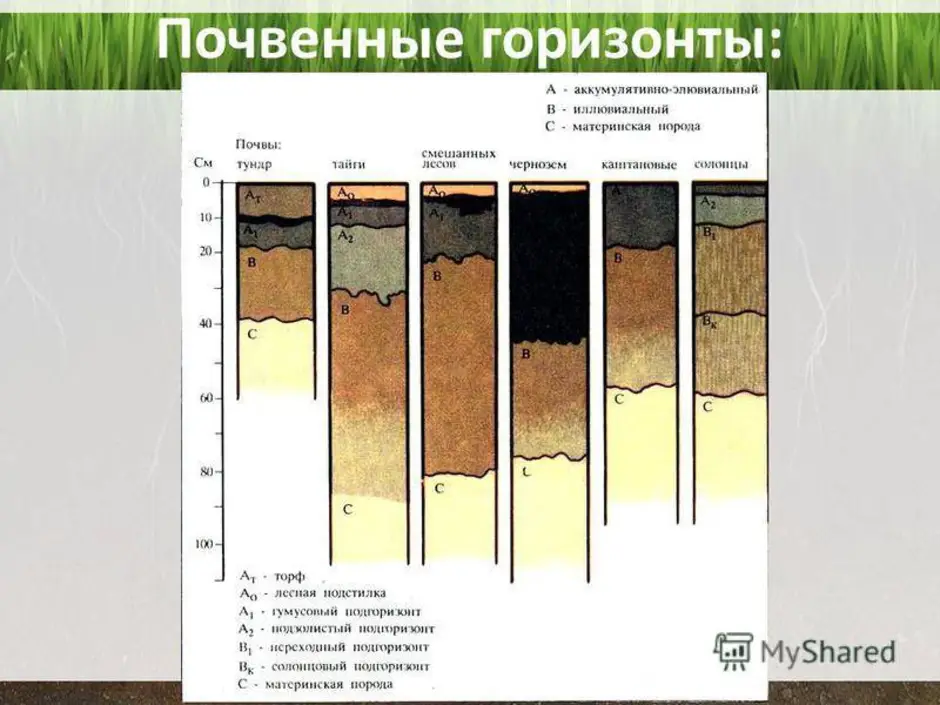 Как понять какая почва. Почвенный профиль каштановых почв схема. Строение почвы почвенные горизонты. Основные почвенные горизонты чернозема. Почвенный Горизонт каштановых почв.