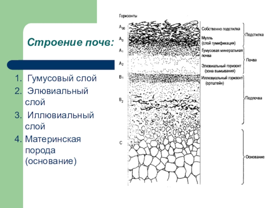 Схема слоев почвы