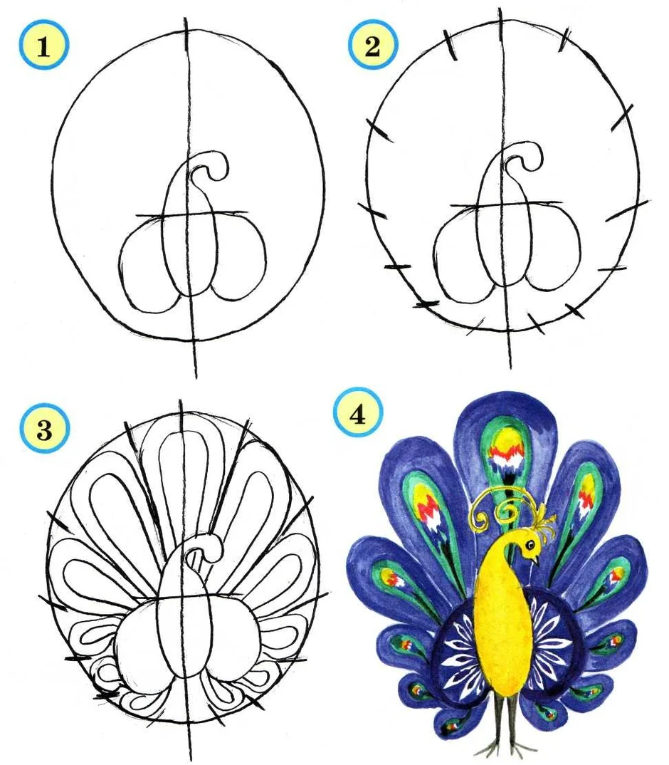 Рисунок павлина карандашом