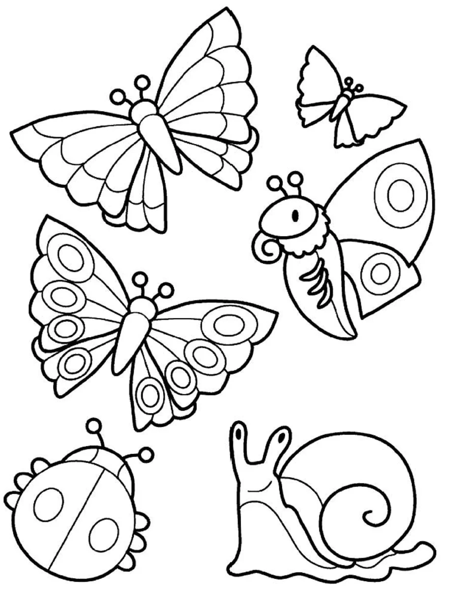 Раскраска бабочка для малышей