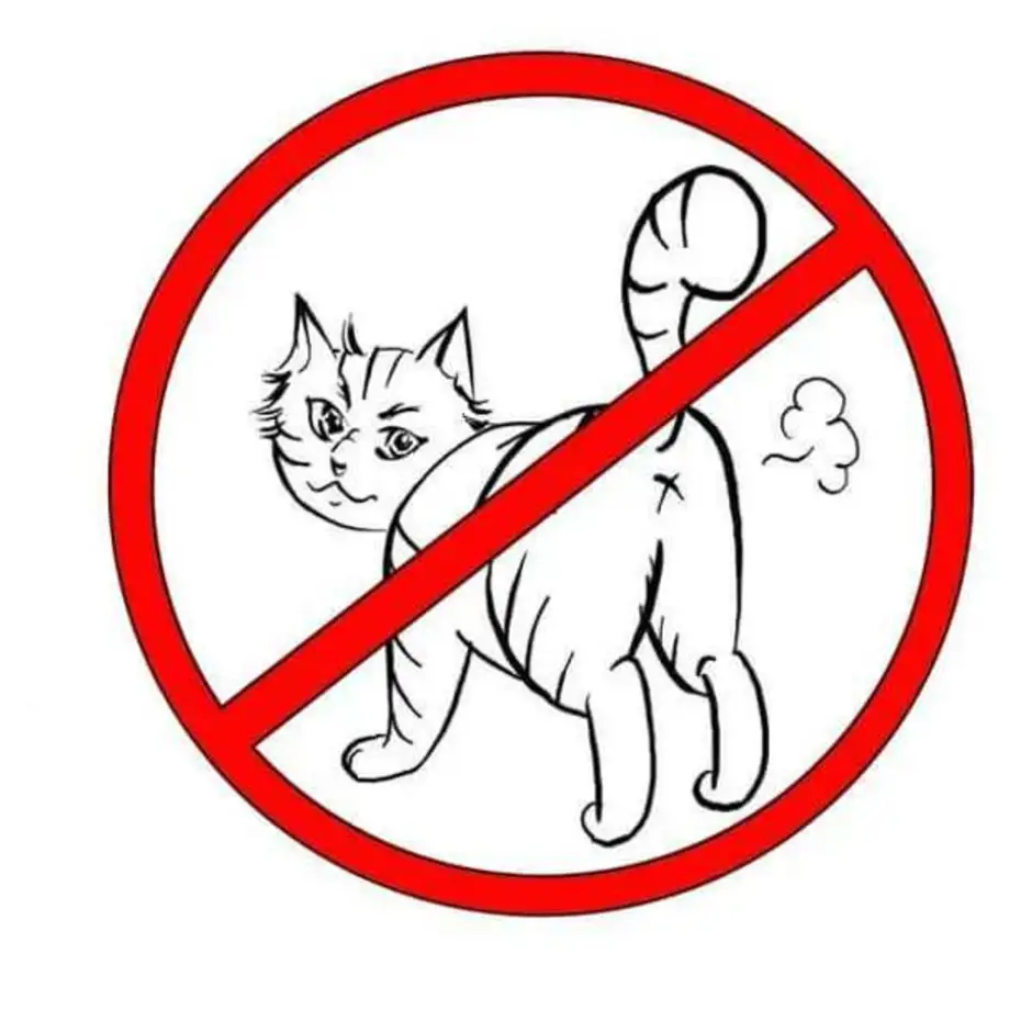Включи кот стоп. Запрет котам. Перечеркнутый кот. Знак кошки. Знак кошки запрещены.