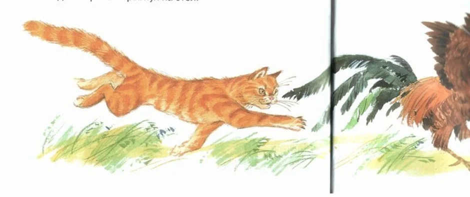 Сказка паустовского кот