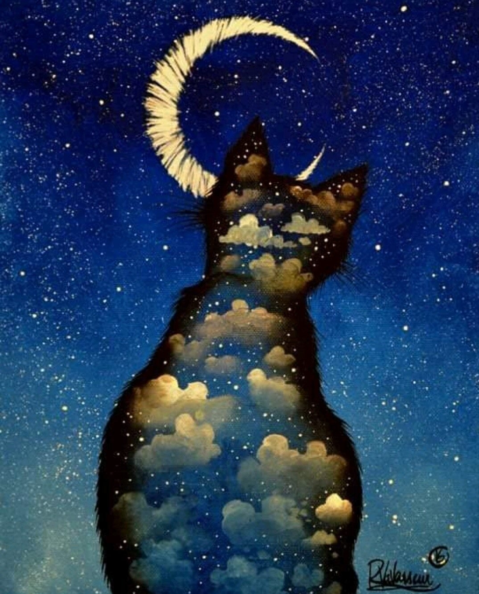 Песни лунный кот. Лунный. "Лунный кот". Ночной кот.