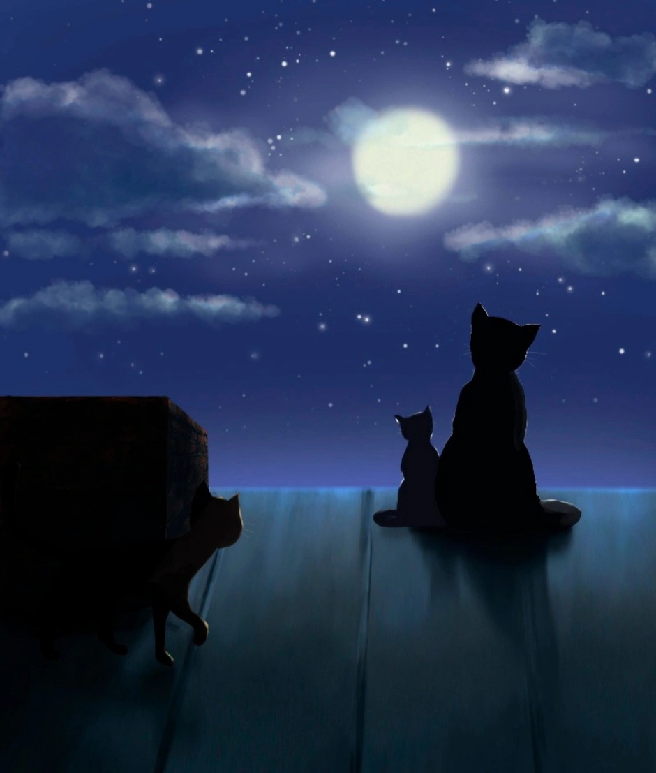 Картинки ночь добра. Кот ночью. Кошка на крыше ночью. Ночная кошка. Коты на крыше ночью.