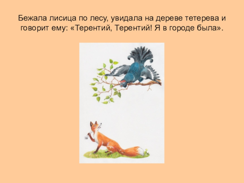 Лиса и тетерев. Рисунок на тему лиса и тетерев. Иллюстрация к рассказу лиса и тетерев. Басня Крылова лисица и тетерев. Загадки лиса и тетерев.