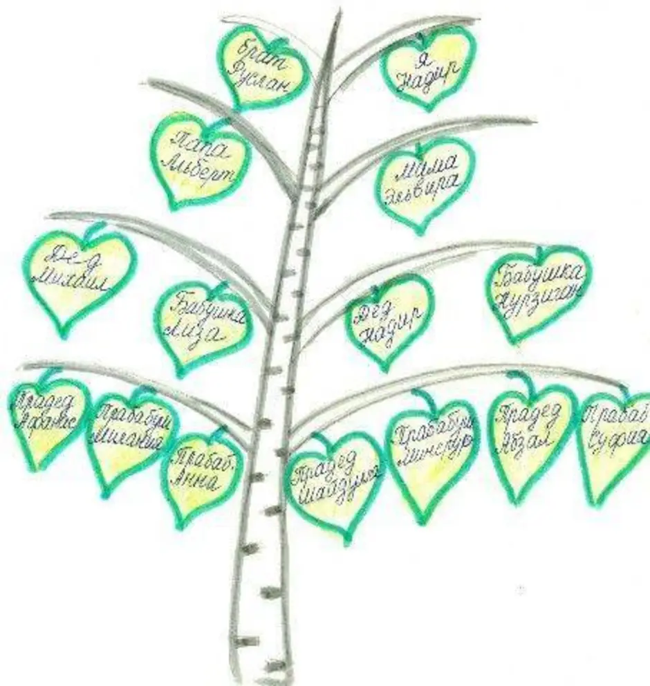 Древо семьи 2 класс окружающий мир шаблон. Нарисовать генеалогическое дерево. Нарисовать семейное дерево. Родословная в виде дерева. Семейное Древо рисунок.
