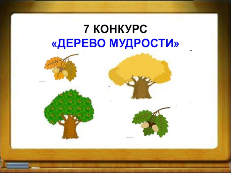 Дерево мудрости и плоды своих нравственных достижений 4 класс рисунок