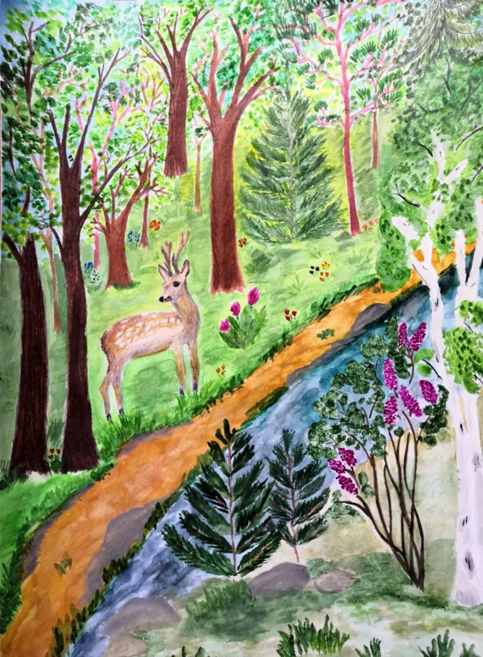 Лесная красота рисунок. Детские рисунки лес. Красота леса рисунок. Рисование на тему лес. Лес глазами детей рисунки.