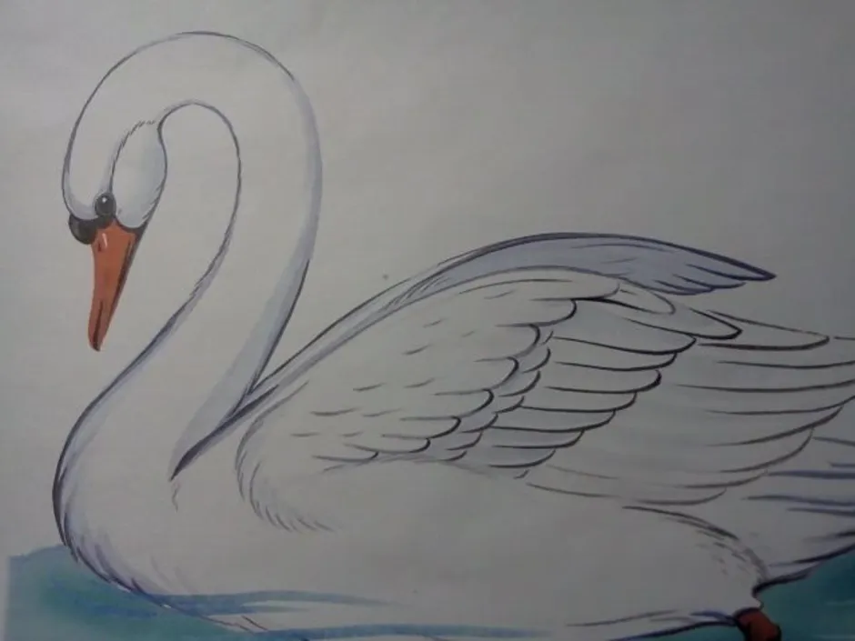 Нарисовать рисунок лебедушка. Лебедь рисунок. Лебедь рисунок карандашом. Рисунок лебедей на озере карандашом. Красивые рисунки лебедей карандашом.