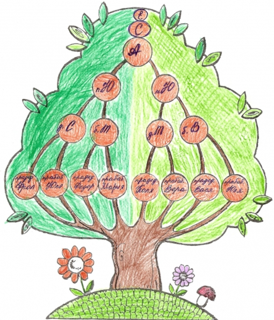 Родословное дерево 2 класс окружающий мир как нарисовать