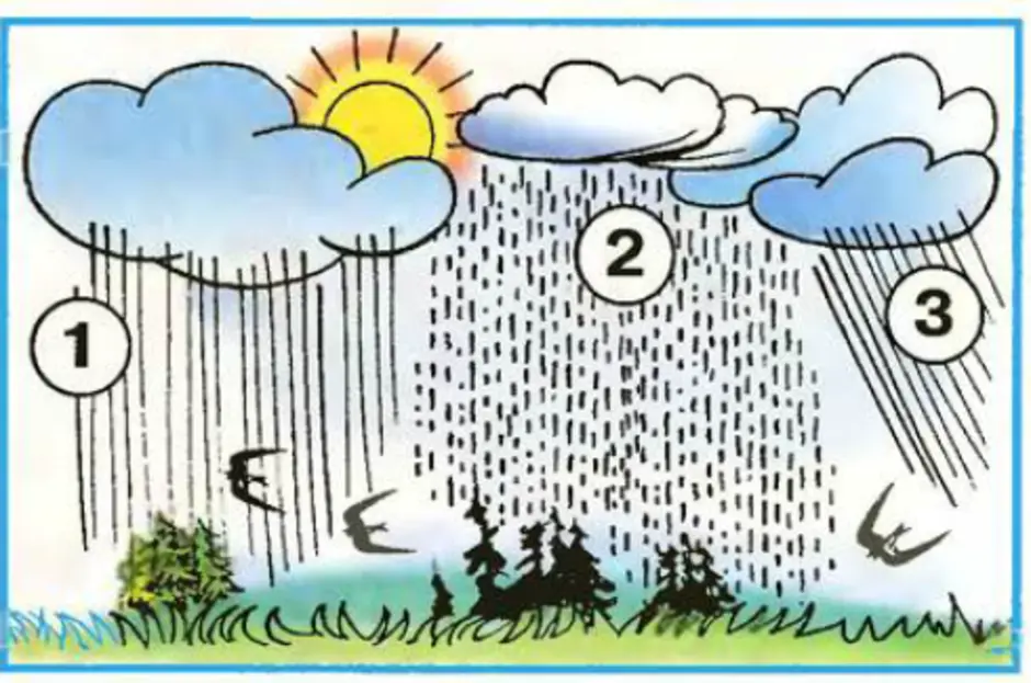 Рисунок ветра 1 класс окружающий мир. Ливень ситничек косохлёст. Дождик ситничек. Виды дождя для детей. Какие бывают дожди рисунок.