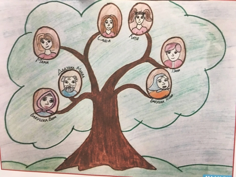 Как нарисовать семейное дерево своими руками - инструкция
