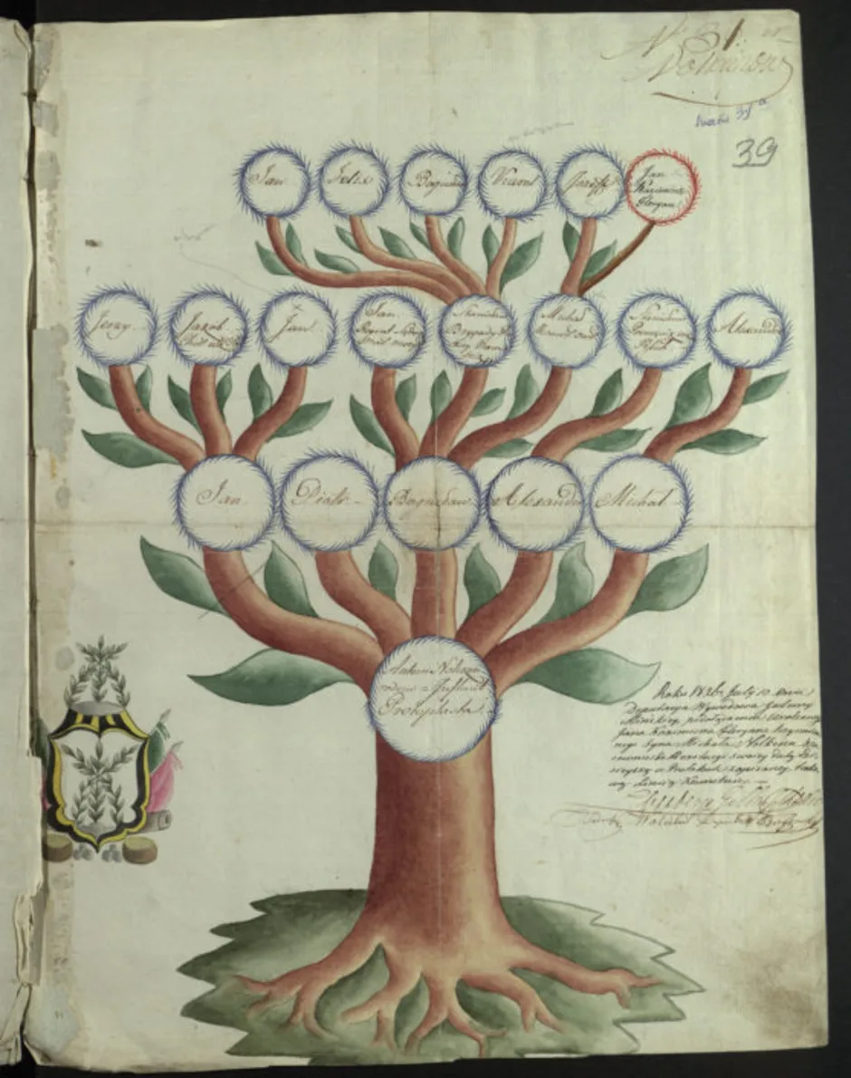 Нарисовать семейное древо 2. Родословное дерево. Родословная дерево. Генеалогическое дерево рисунок. Древо семьи рисунок.