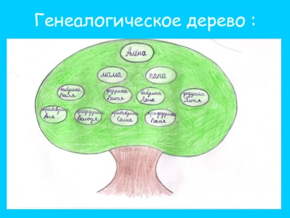 Родовое дерево рисунок 2 класс на окружающий мир в школу