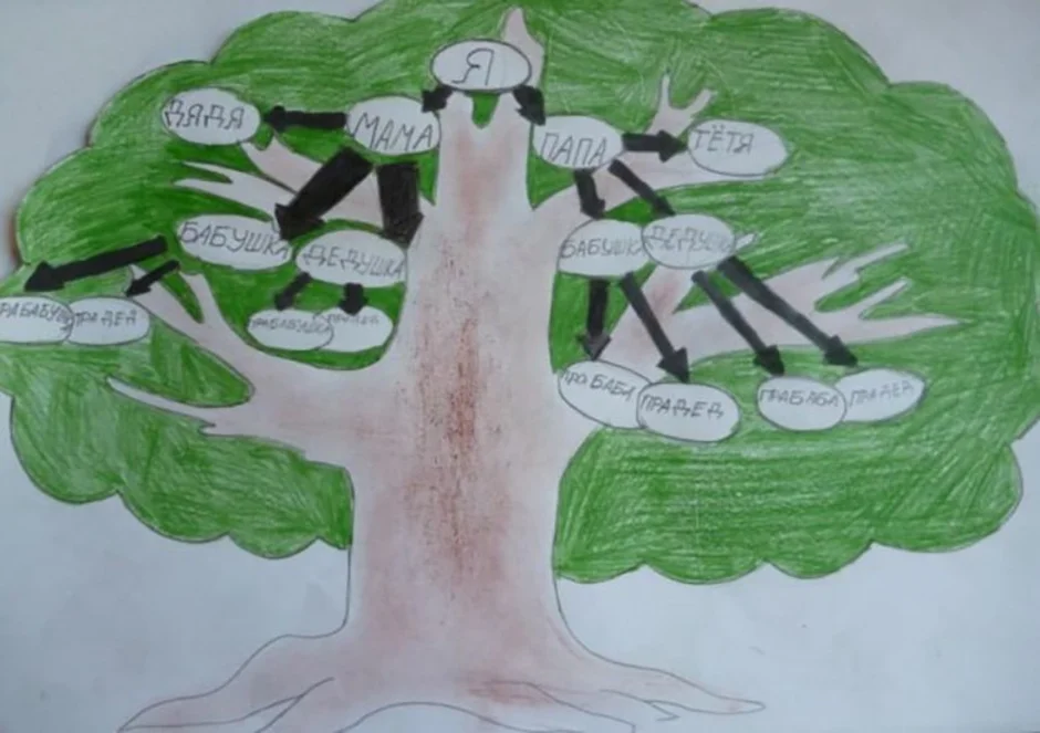 Древо семьи рисунок 2 класса окружающий мир. Рисование генеалогического дерева. Генеалогическое дерево рисунок. Нарисовать дерево семьи. Генеалогическое дерево в школу.