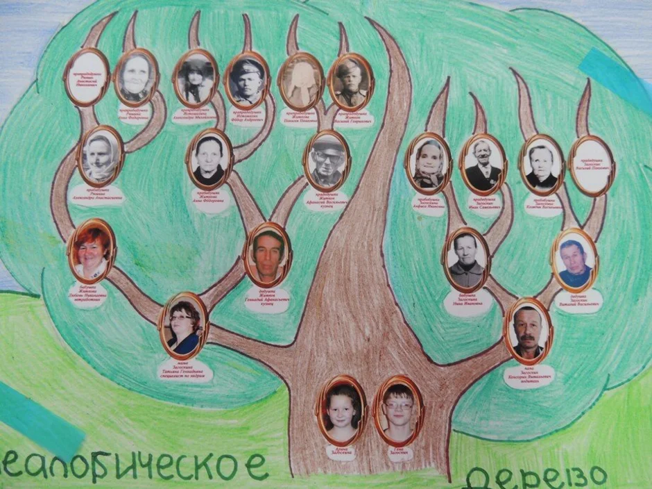 Нарисовать древо семьи 2 класс. Древо семьи. Генеалогическое дерево. Генеалогическое дерево рисунок. Семейное Древо рисунок лёгкий.