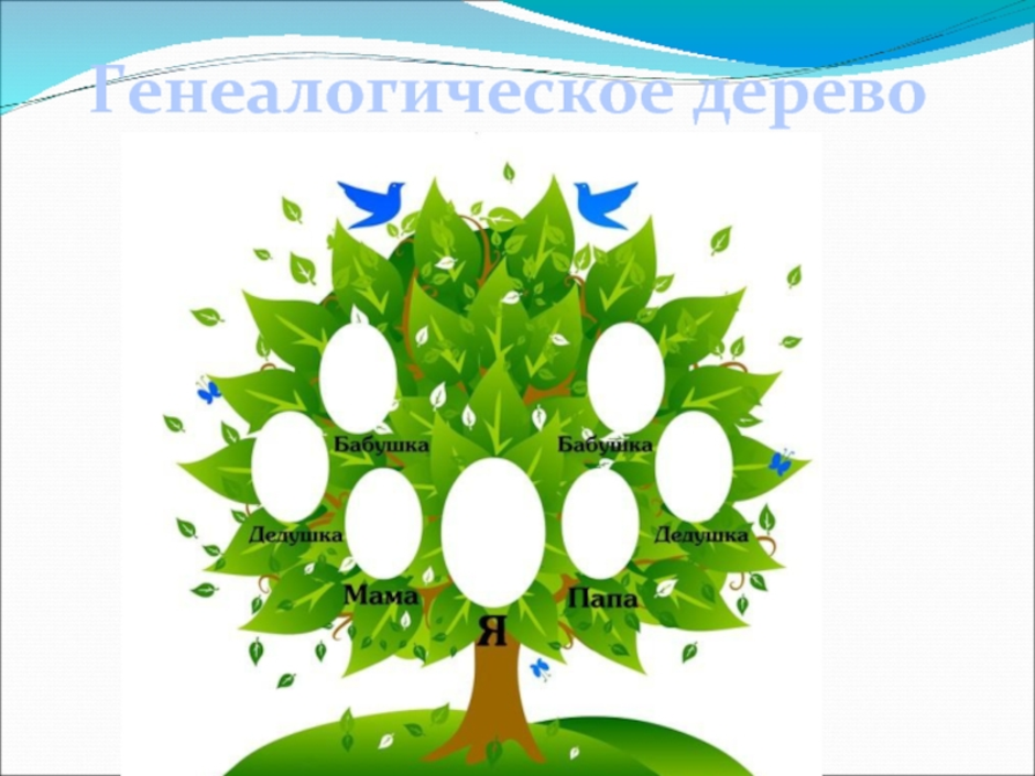 1 2 tree. Генеалогическое Древо для портфолио. Мое генеалогическое дерево. Генеалогическое Древо 2 класс. Родословная моей семьи.