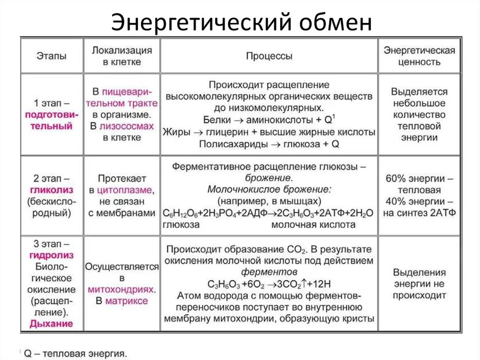 Последовательный тип связи между фазами проекта это