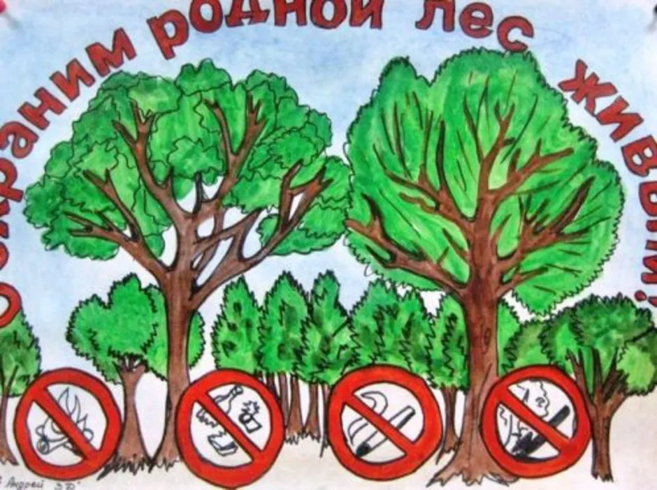 Листовка сохраним природу. Плакат защита леса. Рисунок на тему сохранения лесов. Плакат Защитим лес. Плакат на тему охрана леса.