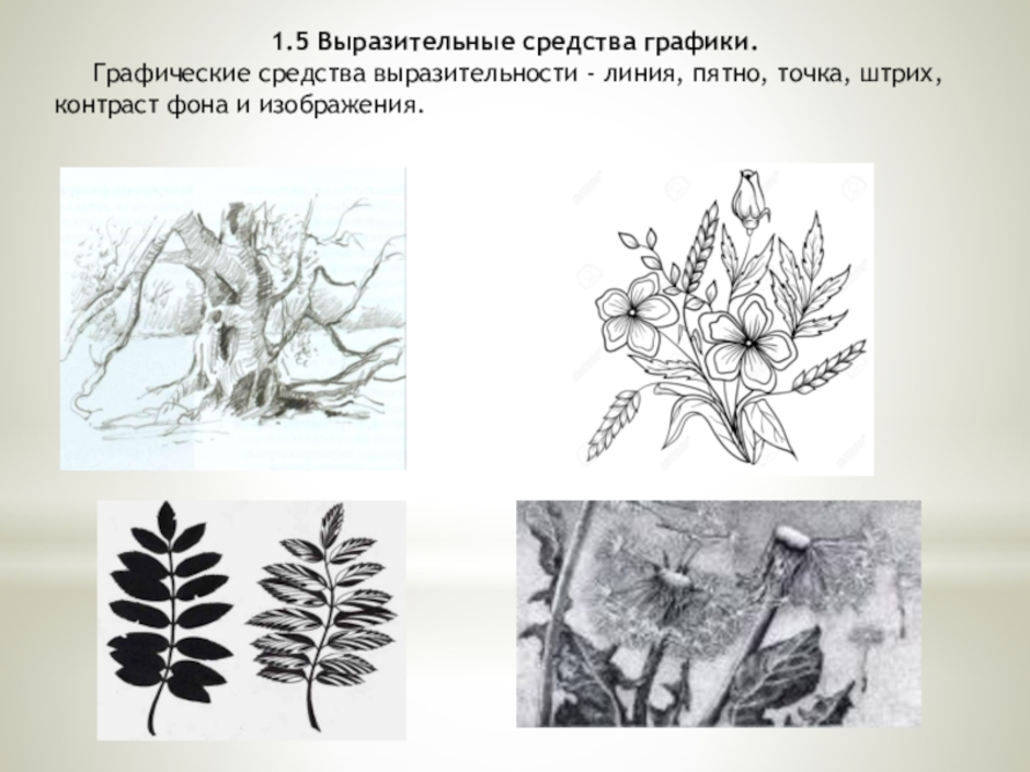 Линии штрихи и точки в изобразительном искусстве