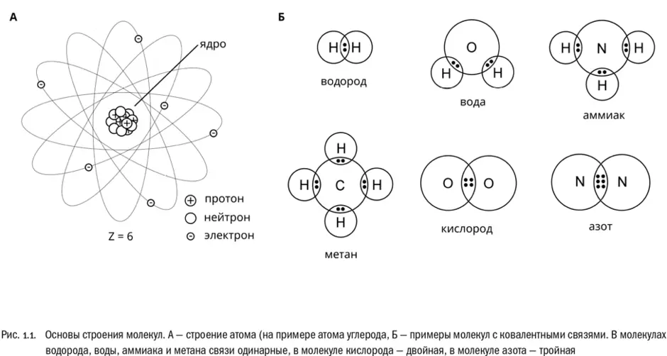 Рисунок атома кислорода