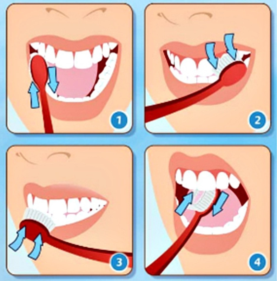 Как правильно чистить зубы картинки