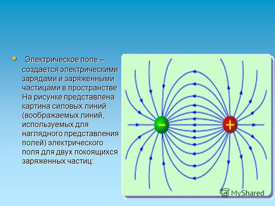 Картина силовых линий электростатического поля