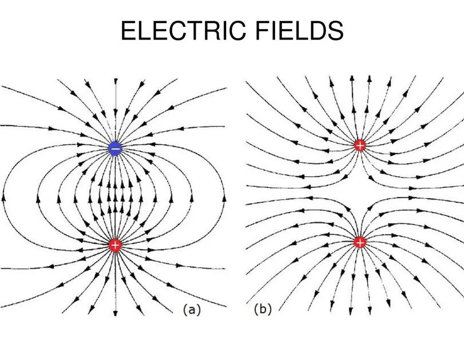 Электрическое поле рисунок