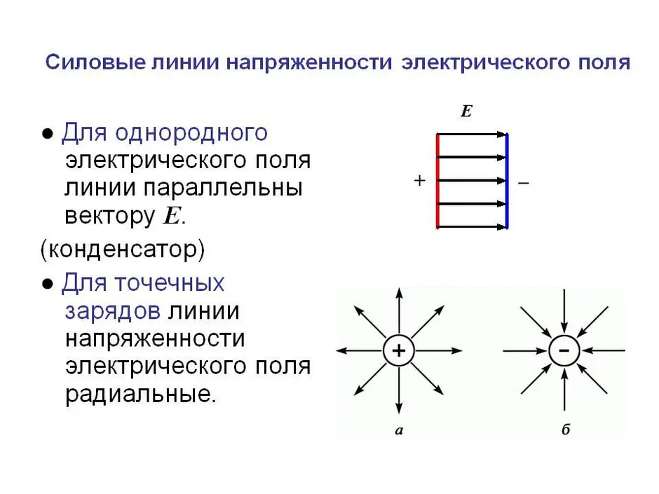 Глядя на картинку силовых линий определите знак заряда металлического шарика