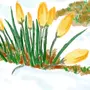 Детский Рисунок Ранняя Весна