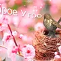 Доброе утро весны рисунок