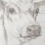 Нарисовать домашнее животное карандашом