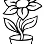 Комнатное Растение Рисунок