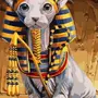 Египетская кошка рисунок