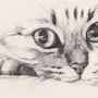 Рисунки животных карандашом