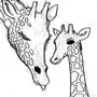 Рисунок Жирафа Для Срисовки