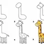 Рисунок жирафа для срисовки