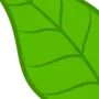 Зеленые Листья Рисунок
