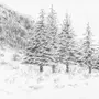 Как нарисовать зимний лес