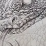 Змея Рисунок Карандашом
