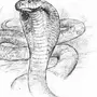 Змея рисунок карандашом