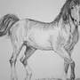 Лошадь Картинки Рисунки