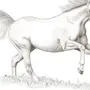 Лошадь Картинки Рисунки