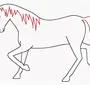Хвост лошади рисунок