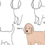 Как Быстро Нарисовать Собаку Для Детей