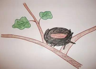Как нарисовать гнездо