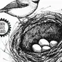 Как нарисовать гнездо