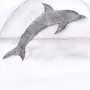 Как легко нарисовать дельфина