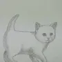 Как Нарисовать Котенка